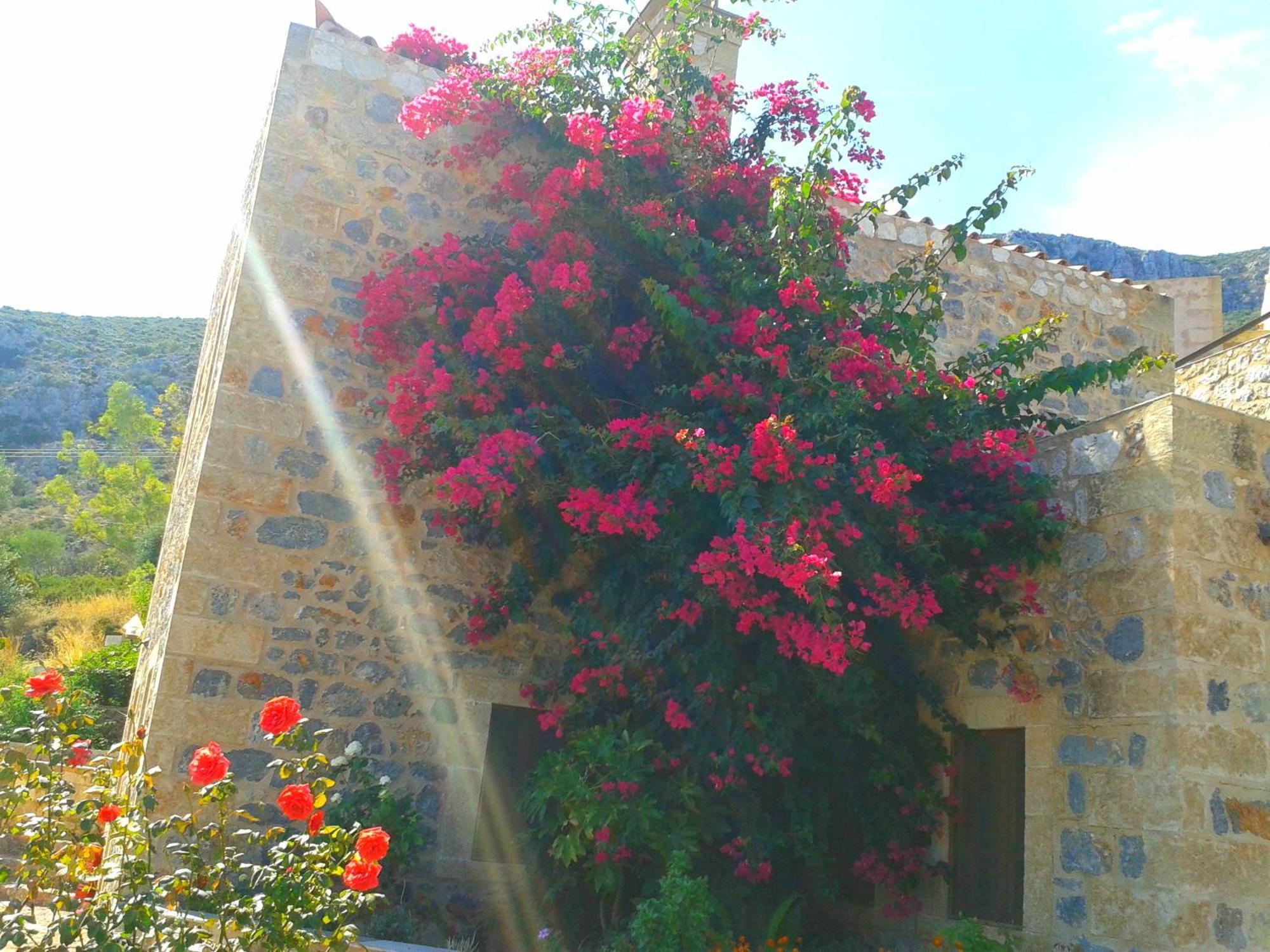 Lithochtisto Hotel Monemvasia Bagian luar foto