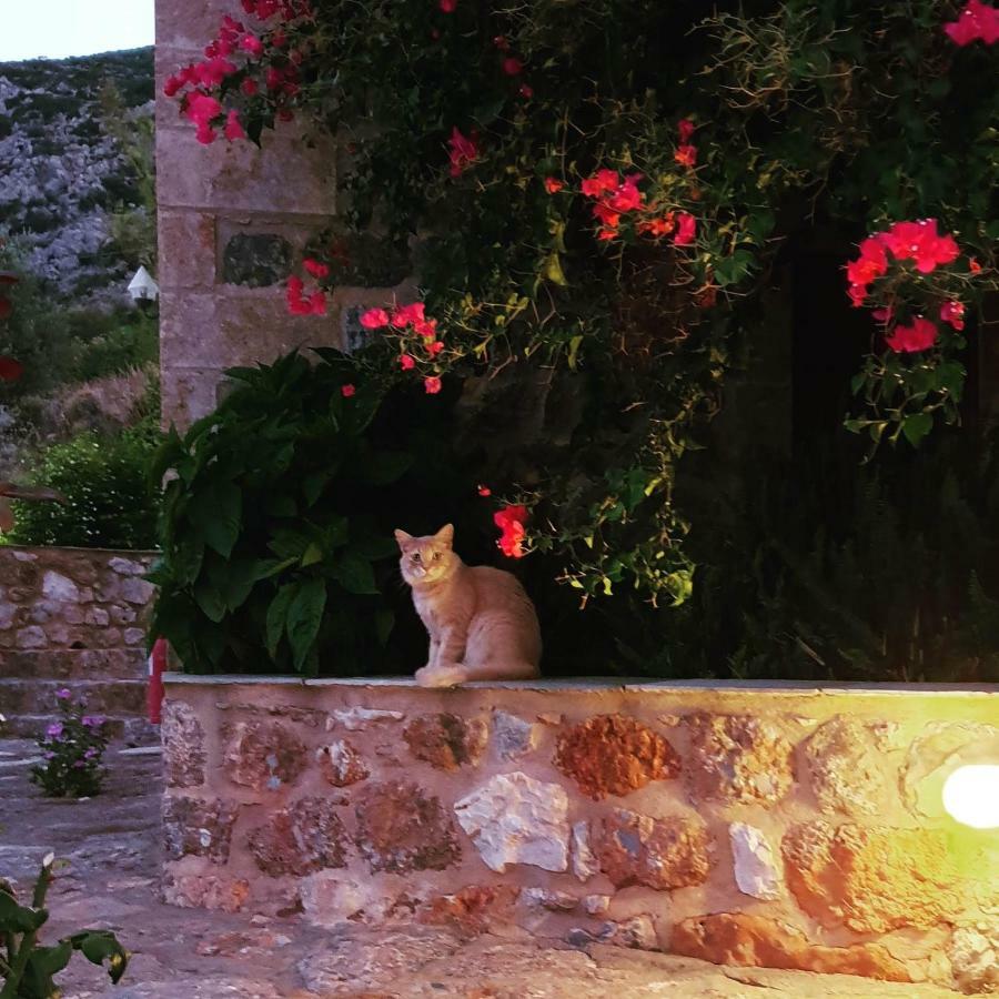 Lithochtisto Hotel Monemvasia Bagian luar foto